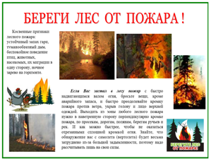 Акция &quot;Сохраним леса от пожаров&quot;.