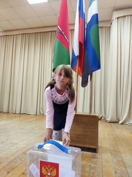 Выборы лидера ученического самоуправления.